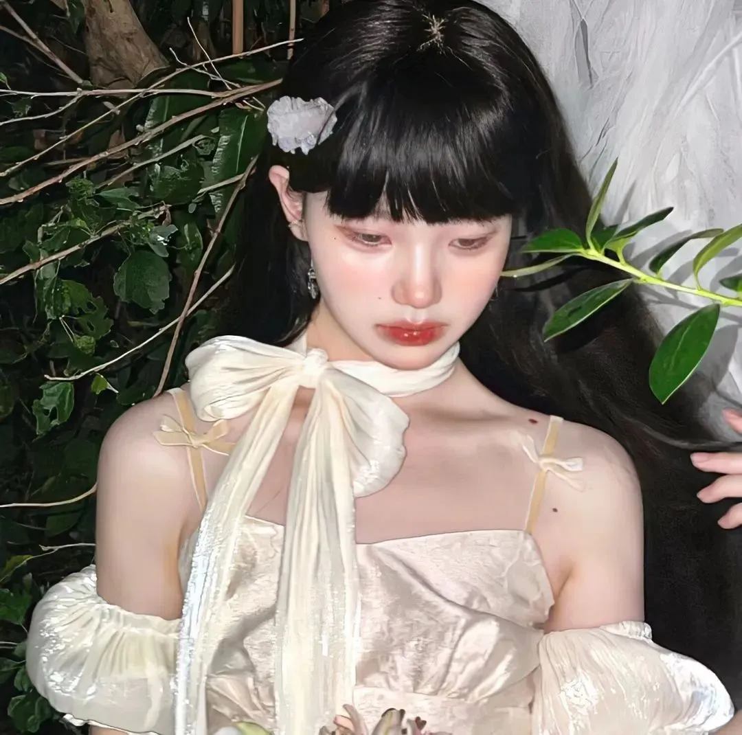 志愿军：浴血和平